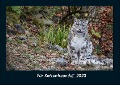 Für Katzenfreunde 2023 Fotokalender DIN A4 - Tobias Becker