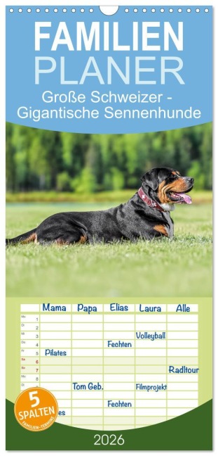 Familienplaner 2026 - Große Schweizer - Gigantische Sennenhunde mit 5 Spalten (Wandkalender, 21 x 45 cm) CALVENDO - Jana K. Fotografie
