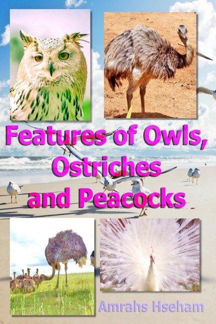 Features of Owls, Ostriches and Peacocks - Amrahs Hseham