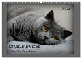 GRAUE ENGEL Britischkurzhaar-Katzen (Wandkalender 2024 DIN A2 quer), CALVENDO Monatskalender - Jacky-fotos Jacky-fotos
