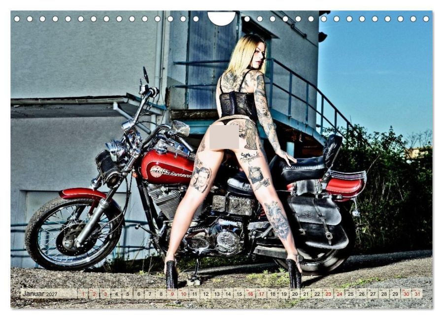 InsideView 6