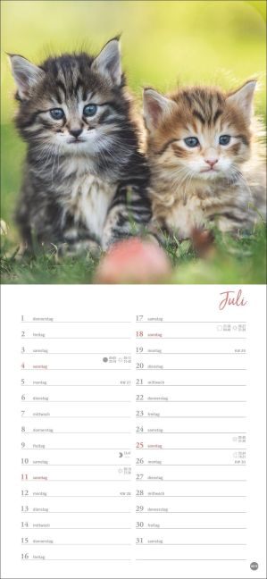 InsideView 7