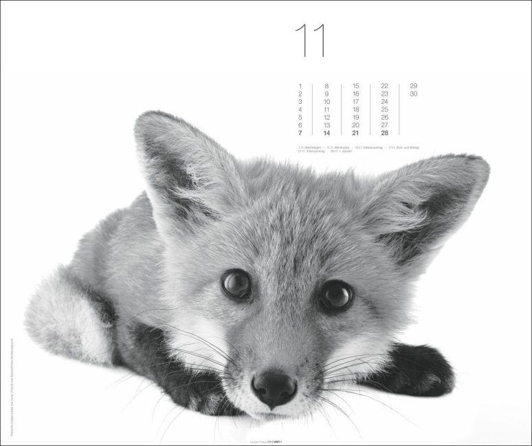 InsideView 11