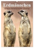Erdmännchen - Afrikas liebenswerte Zwerge (Wandkalender 2025 DIN A2 hoch), CALVENDO Monatskalender - Elisabeth Stanzer