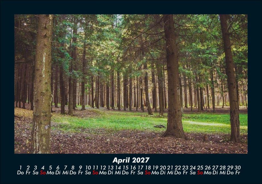 InsideView 8