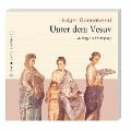 Cover-Bild zum Titel 'Unter dem Vesuv (Ungekürzt)' von 'Holger Sonnabend'