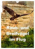 Raub- und Greifvögel im Flug (Wandkalender 2024 DIN A4 hoch), CALVENDO Monatskalender - Gabriela Wernicke-Marfo