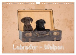 Labrador - Welpen (Wandkalender 2025 DIN A4 quer), CALVENDO Monatskalender - Heiko Eschrich -Heschfoto