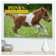 Ponys. Herzensbrecher mit Grips (hochwertiger Premium Wandkalender 2026 DIN A2 quer), Kunstdruck in Hochglanz - Elisabeth Stanzer