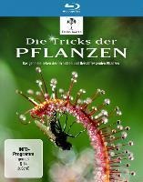Die Tricks der Pflanzen - Steve Nicholls, Steven Faux