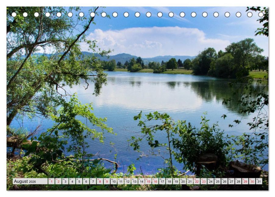 InsideView 13