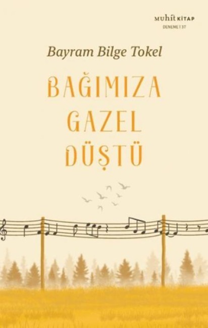 Bagimiza Gazel Düstü - Bayram Bilge Tokel