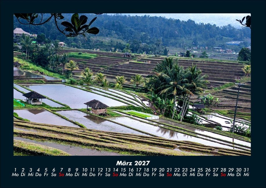 InsideView 7