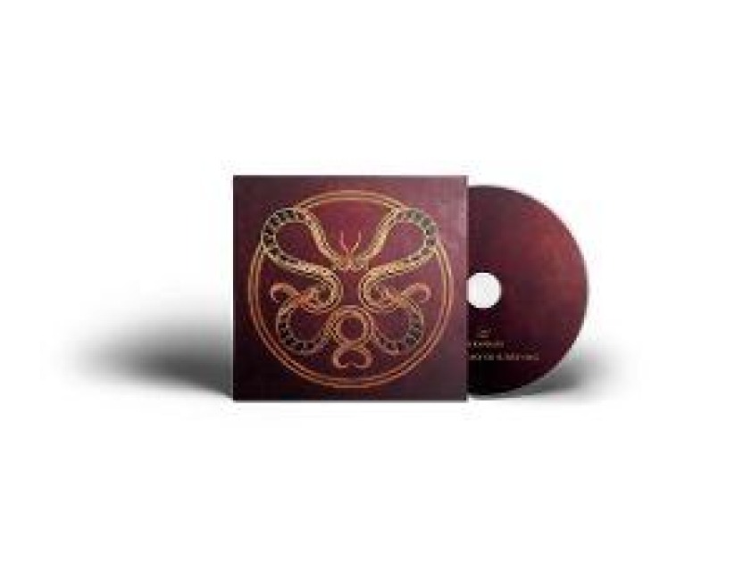 The Anatomy Of Surviving (Digisleeve) - Vicious Rain