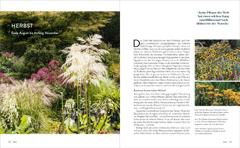 InsideView 5