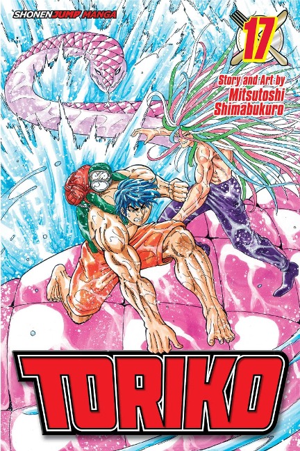 Toriko, Vol. 17 - Mitsutoshi Shimabukuro