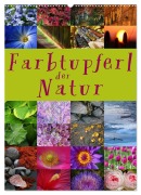 Farbtupferl der Natur (Wandkalender 2026 DIN A2 hoch), CALVENDO Monatskalender - Martina Cross