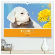 Cover-Bild zum Titel 'HUNDE LEBEN IST BUNT (hochwertiger Premium Wandkalender 2026 DIN A2 quer), Kunstdruck in Hochglanz' von 'Petra Eckerl Tierfotografie'