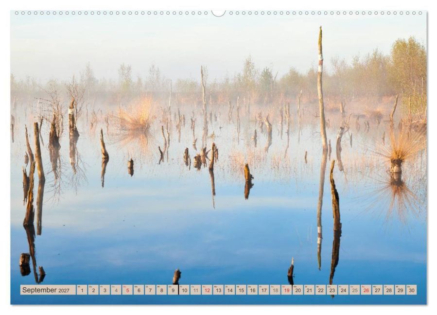 InsideView 14