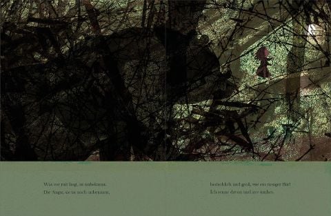 InsideView 2