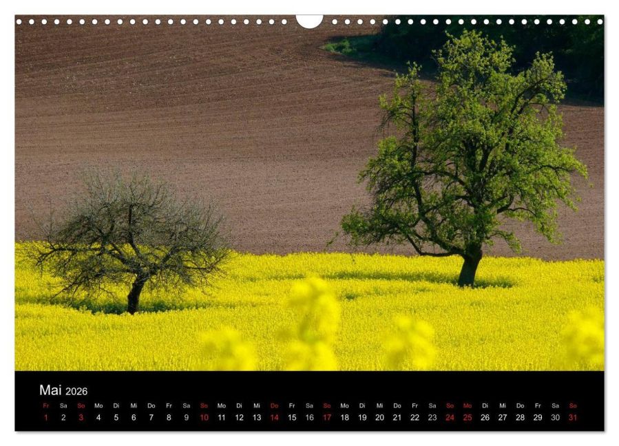 InsideView 10