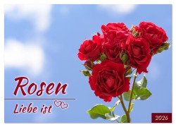 Cover-Bild zum Titel 'Rosen, Liebe ist (Wandkalender 2026 DIN A3 quer), CALVENDO Monatskalender' von 'Rainer Plett'