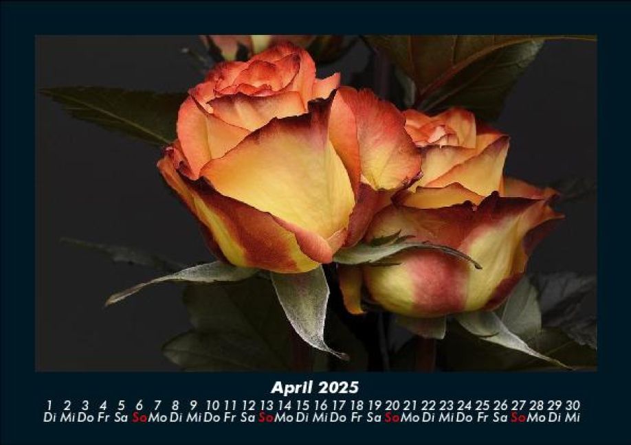 InsideView 8