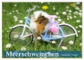 Meerschweinchen. Geliebte Nager (Wandkalender 2024 DIN A2 quer), CALVENDO Monatskalender - Elisabeth Stanzer