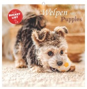 Cover-Bild zum Titel 'Welpen 2027' von ''