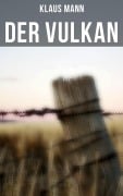Cover-Bild zum Titel 'Der Vulkan' von 'Klaus Mann'
