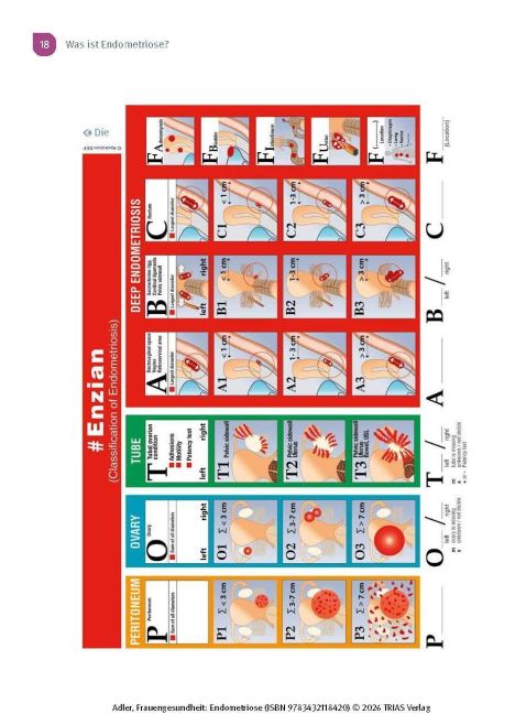 InsideView 13