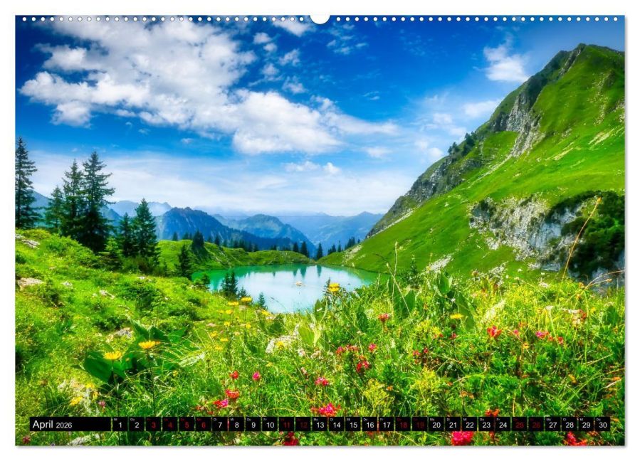 InsideView 8
