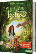 Ein Mädchen namens Willow 3: Flügelrauschen - Sabine Bohlmann