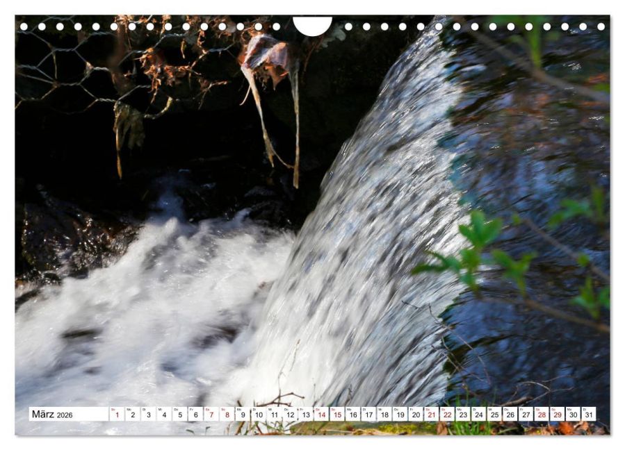InsideView 8