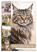 Cover-Bild zum Titel 'Maine Coon Kalender - Majestätische Katzen in der Natur (Wandkalender 2026 DIN A4 hoch), CALVENDO Monatskalender' von 'Mb Fotografie'