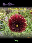 Cover-Bild zum Titel 'Damuria - General' von 'Rene Winter'