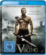Cover-Bild zum Titel 'The Lost Viking' von 'Emmet Cummins, Victor Mawer, David Shillitoe, Shaun Moseley'
