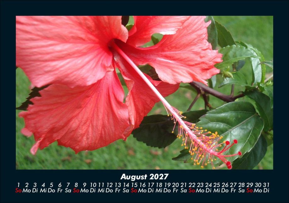 InsideView 12
