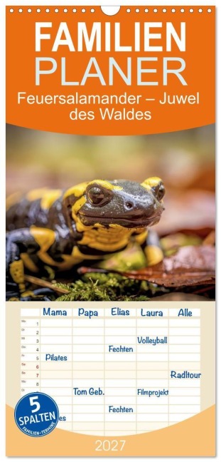 Familienplaner 2027 - Feuersalamander - Juwel des Waldes mit 5 Spalten (Wandkalender, 21 x 45 cm) CALVENDO - Torsten Irmer
