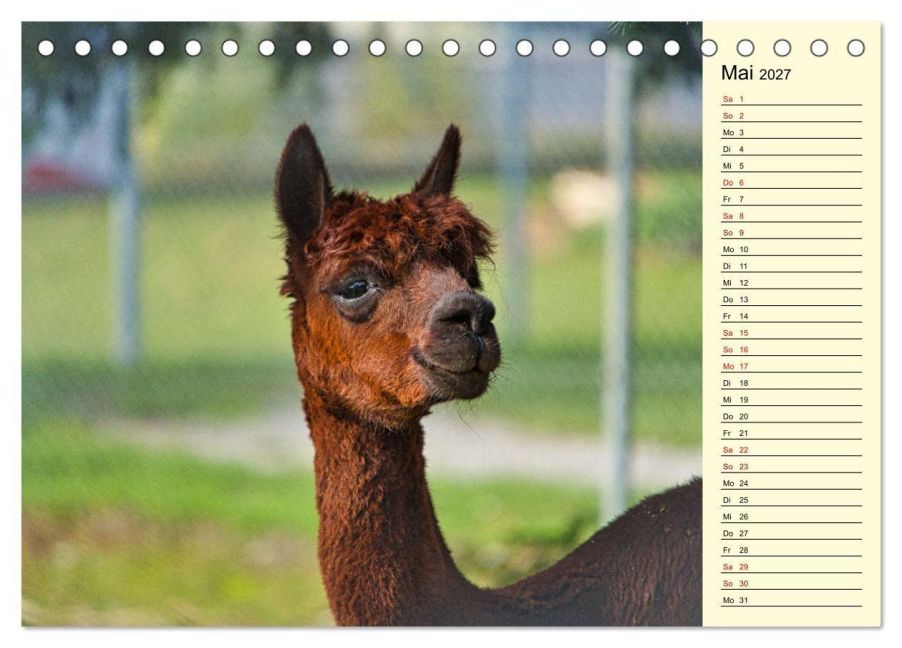 InsideView 10