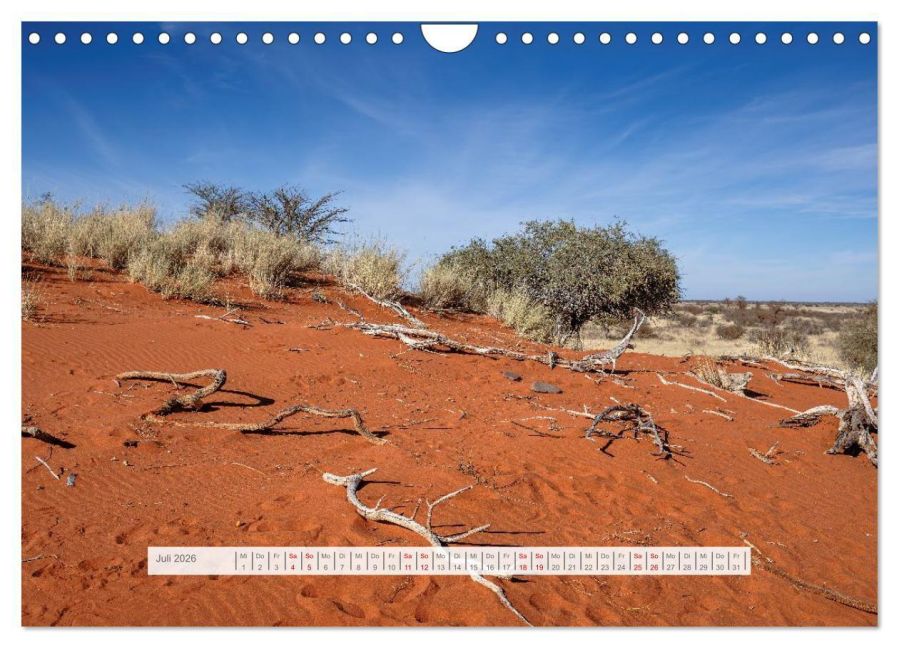 InsideView 12