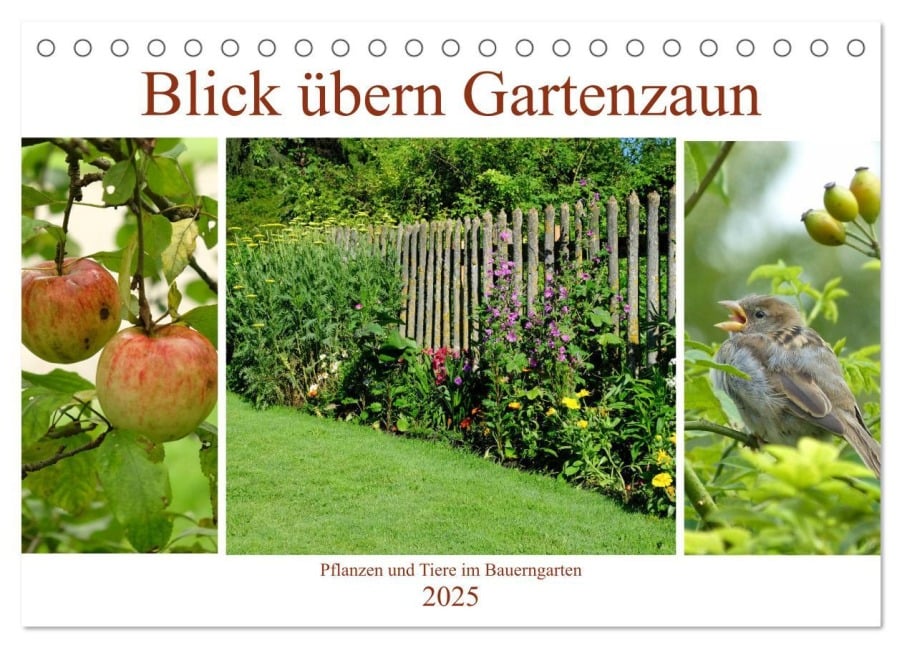 Blick übern Gartenzaun (Tischkalender 2025 DIN A5 quer), CALVENDO Monatskalender - Monika Lutzenberger