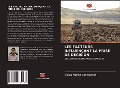 Cover-Bild zum Titel 'LES FACTEURS INFLUENÇANT LA PRISE DE DÉCISION' von 'Diego Núñez Dos Santos'