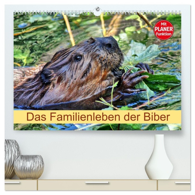 Das Familienleben der Biber (hochwertiger Premium Wandkalender 2026 DIN A2 quer), Kunstdruck in Hochglanz - Kattobello Kattobello