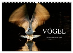 Cover-Bild zum Titel 'VÖGEL (Wandkalender 2026 DIN A3 quer), CALVENDO Monatskalender' von 'Luis Manuel Iglesias Nuñez'