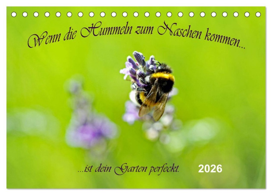 Wenn die Hummeln zum naschen kommen, ist dein Garten perfekt (Tischkalender 2026 DIN A5 quer), CALVENDO Monatskalender - Konstanze Junghanns