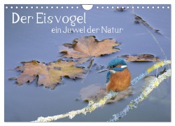 Cover-Bild zum Titel 'Der Eisvogel, ein Juwel der Natur (Wandkalender 2026 DIN A4 quer), CALVENDO Monatskalender' von 'Rufotos Rufotos'