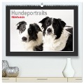 Hundeportraits - Hütehunde (hochwertiger Premium Wandkalender 2024 DIN A2 quer), Kunstdruck in Hochglanz - Jasmin Hahn