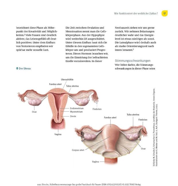 InsideView 11