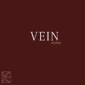 Cover-Bild zum Titel 'Outstage' von 'Vein'
